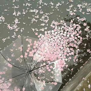 secret base.//钢琴