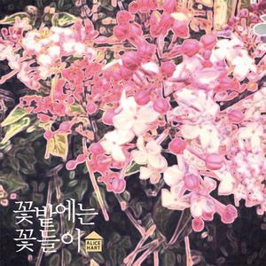 꽃밭에는 꽃들이