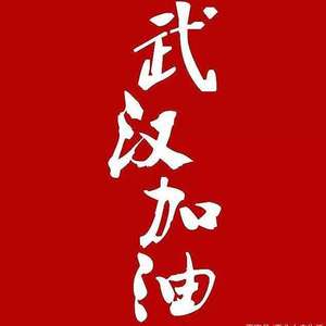 武汉加油