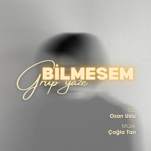 Bilmesem