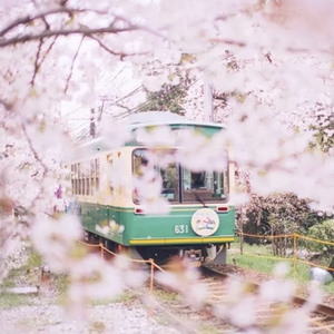 SPRING DAY - BTS（Cover 防弹少年团）