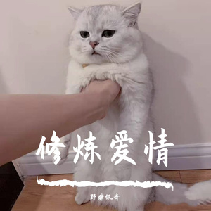 修炼爱情