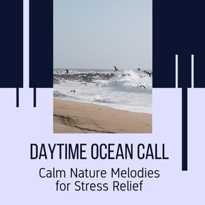 Blissful Birds Noise