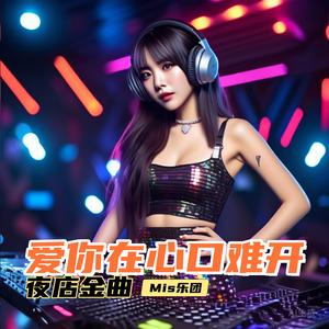 孤独酒客（夜店金曲） (Remix)