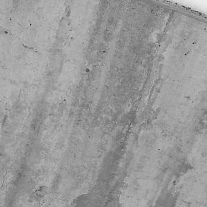 BY ALL MEANS KILL YOURSELF (feat. thelilbird)