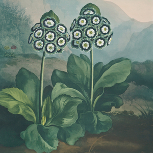 Sala De Espera (Intro 8)