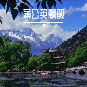 蒲公英飘散