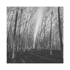 Another Wasted Night