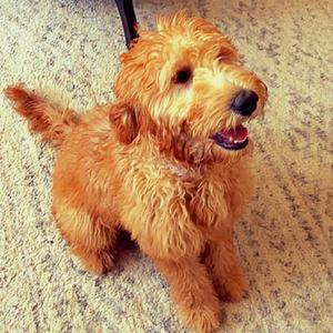 God Took Away My Bestfriend