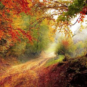 "桃花溪"-Melody Rap