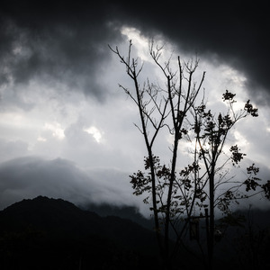 网易云（Cover：姜云升）