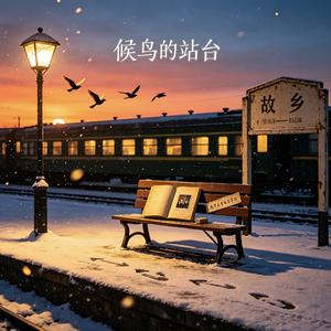 候鸟的站台.wav