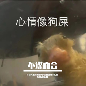 不谋而合（翻自 純白P）