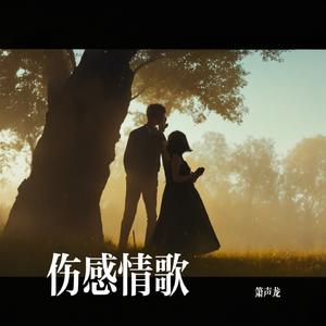 伤感情歌
