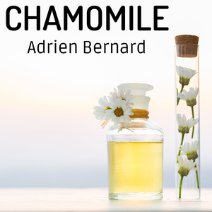 Laisse-Moi Te Remplacer