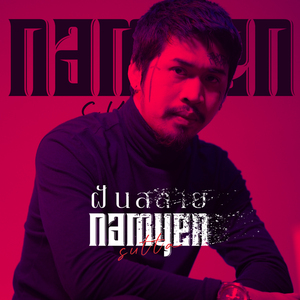 ฝันสลาย (Cover)
