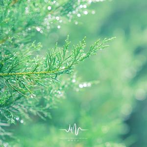 心态平和 (治疗焦虑轻音乐)