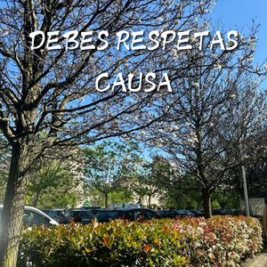 Debes Respetas Causa