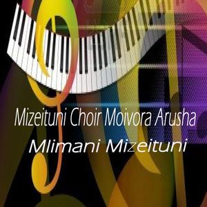 Wengine Tunakwenda Kanisani