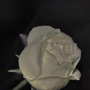 晚安 (cover颜人中)