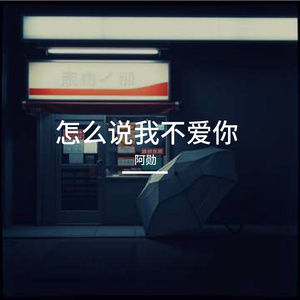 怎么说我不爱你