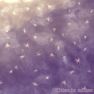 Stardust Memory （Future.Ver）