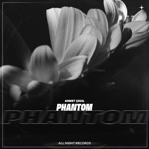 Phantom