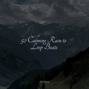 Nature, Cicadas, Birds