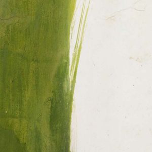 披星戴月的想你