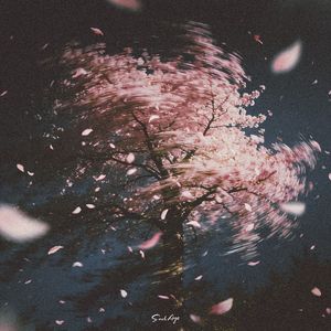 镜中花 Water Flower