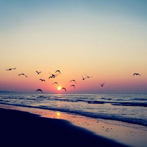 你能不能不要离开我（DJ版）