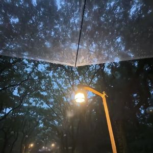 溪花与禅意-半边海