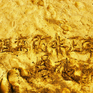 城市 花园 麻雀 海与时间