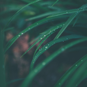 Strong Rains Outside