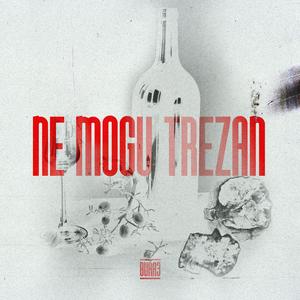 Ne Mogu Trezan (feat. Keche)