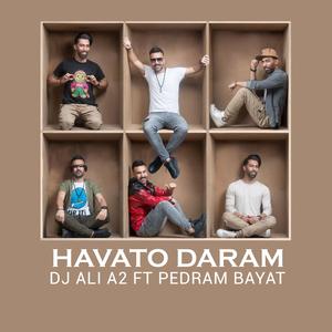 Havato Daram (feat. Pedram Bayat)
