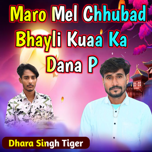 Maro Mel Chhubad Bhayli