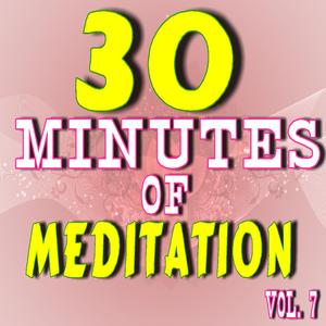 30 Minutes of Meditation, Vol. 7 (Special Edition)
