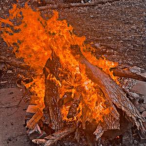 Rise from the basment