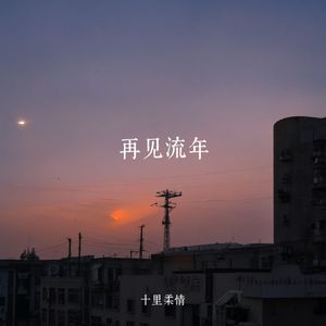 再见流年
