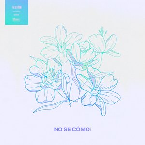 No se cómo