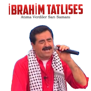Atıma Verdiler Sarı Samanı