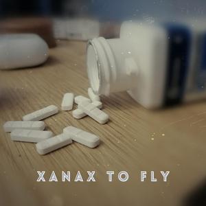 Xanax to fly (feat. DNL Beats)