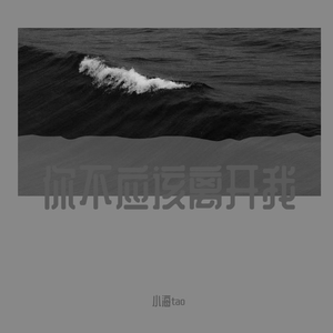 你不应该离开我（不插电版）小海tao翻唱版