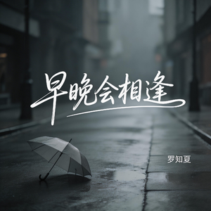 早晚会相逢(激情版）