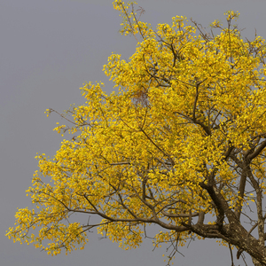 올려다본 하늘엔 가을이 있었다