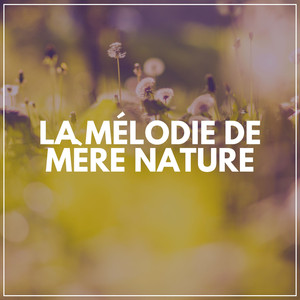 Bruit de la nature