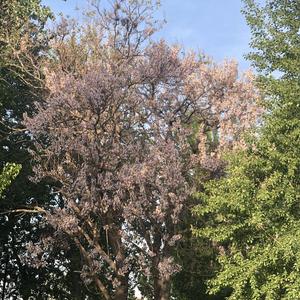 Fivego(Prod.BLIV BEATS)