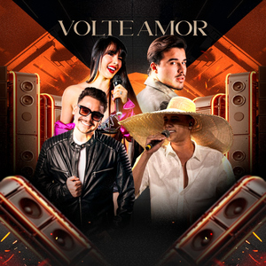 Volte Amor