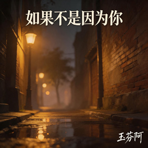 如果不是因为你